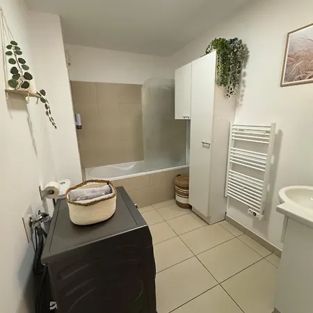 Le Cocon Des Thermes Metz Luxembourg Appartement