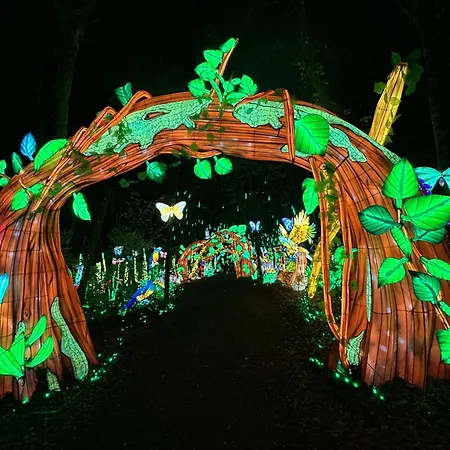 Le Cocon Des Thermes Metz Luxembourg 公寓 *