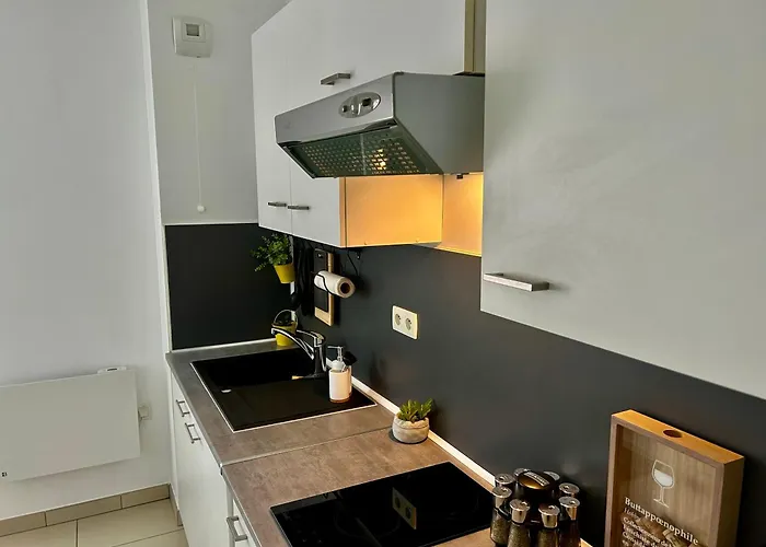 Le Cocon Des Thermes Metz Luxembourg