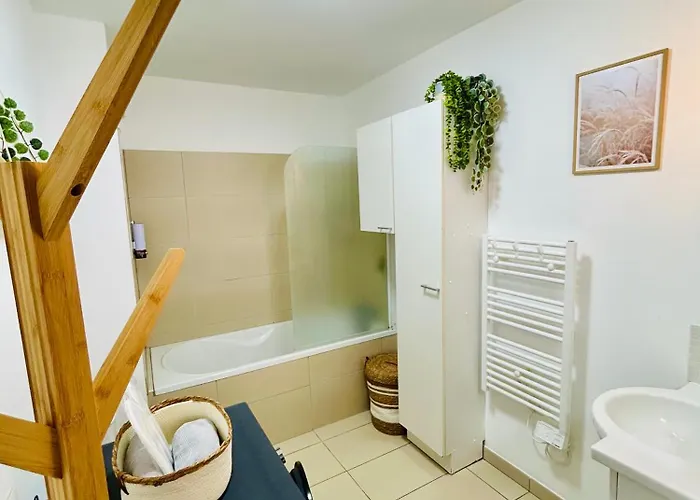 Le Cocon Des Thermes Metz Luxembourg * 岩尼维利